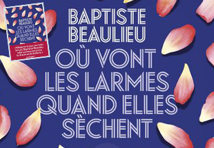 box communautelitteraire25