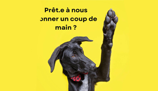 sep devenirvolontaire