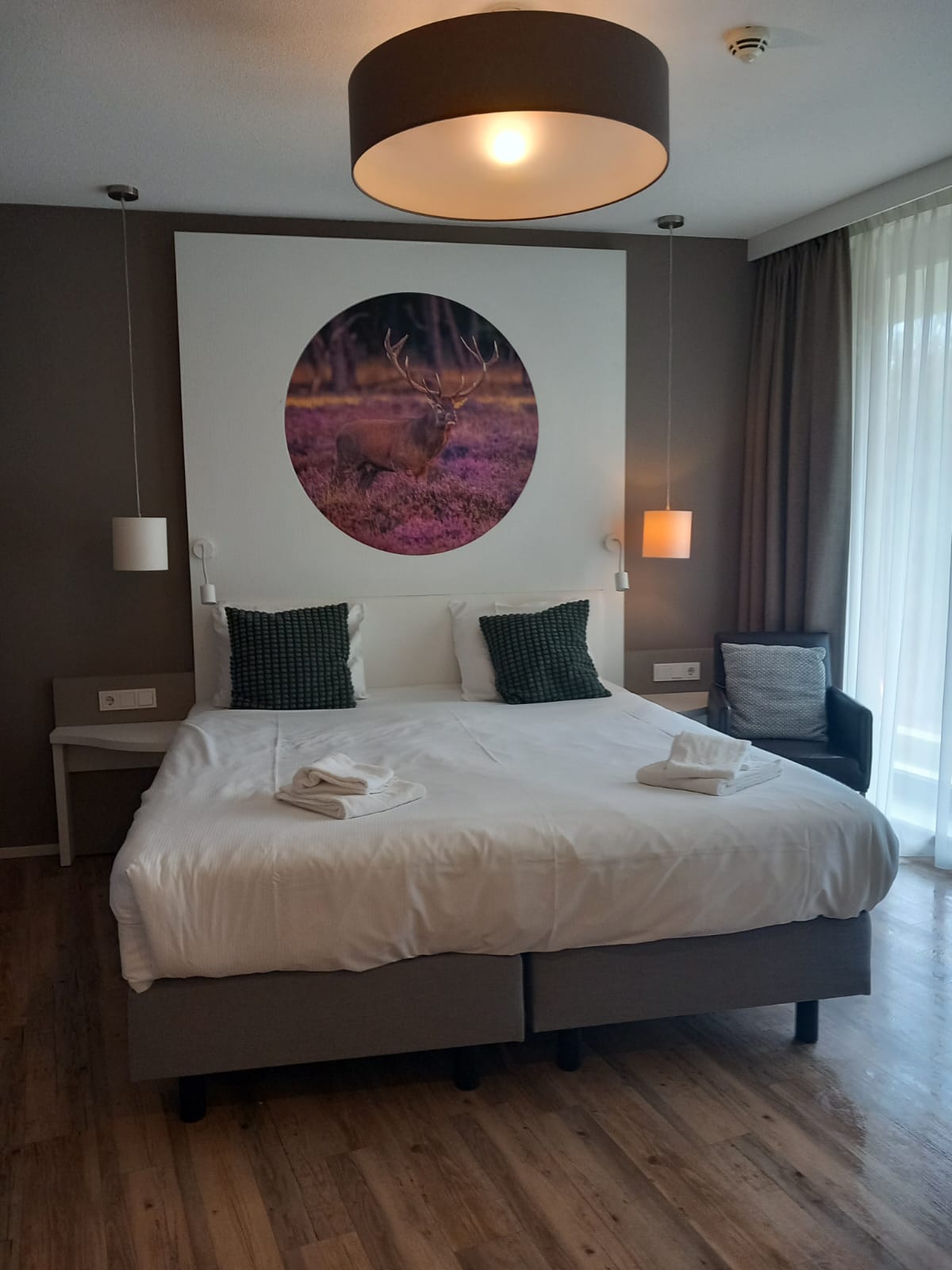 Pays bas vélo2026 03