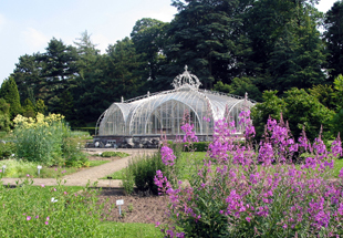 box jardinsbotaniquesmeise26