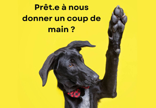 box devenirvolontaire
