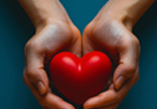 box rencontretestaement26